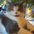 Gina G. Gagliardi's profile image
