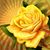 Darlene Kaye Thorns's profile image