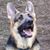 Cheryl Bishop Richer's profile image