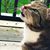 Jai Vaswani's profile image