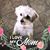Jill Shaffer's profile image
