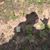 Forest Henderson's profile image