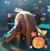 Jodie Prevatt's profile image