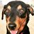 Sara Hu Sser's profile image