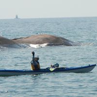 Cathy Elton's profile image