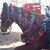 Elizabeth Shrum's profile image