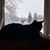 Tanya Burda's profile image