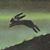 David Counts's profile image