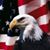 Keith Vanderpool's profile image
