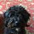 Juanita Lyons's profile image