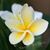 Tina Martin's profile image