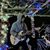 Chris Defalco's profile image