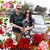 Yanet Dominguez's profile image