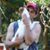 Rob Klebosis Jr's profile image