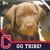 Mardy Shirey's profile image