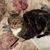Rae Brooks's profile image