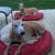 Amy Gilmore Schmid's profile image