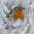 Roberta Effinger's profile image