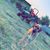 Jayne Pristov's profile image