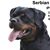 Mike Stalter's profile image