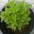 Barbara Burch's profile image