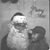Gerry Moon's profile image