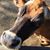 Randy Wilburn's profile image