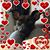Michele Chytracek's profile image