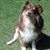 Melody L. Masden's profile image