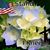 Paula Cartner's profile image