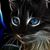 Salvatore Rosa's profile image