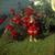 Christina Marie Helmke's profile image