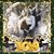 Scott Givan's profile image