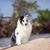 Marion Vierra Karp's profile image