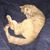 Dawn Smith's profile image