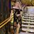 Sheila McNabb's profile image