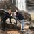 Rachel Carlson's profile image