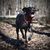 Andrea Jeffers's profile image