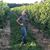 Karey Lunghofer's profile image
