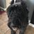 CJ Judi Weiss's profile image