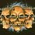 Jim Cook's profile image