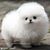 Wanita Kelley's profile image