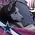 Ivy Whitlock's profile image