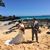Maureen Mercurio's profile image