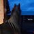 Robin Giusto-Anderson's profile image