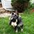 Sheryl L Baumann's profile image