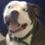 Woodard Helena Fearnone's profile image