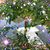 Susan Petko's profile image