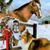 Tina Young Hamon's profile image