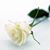 Michelle Kohn's profile image